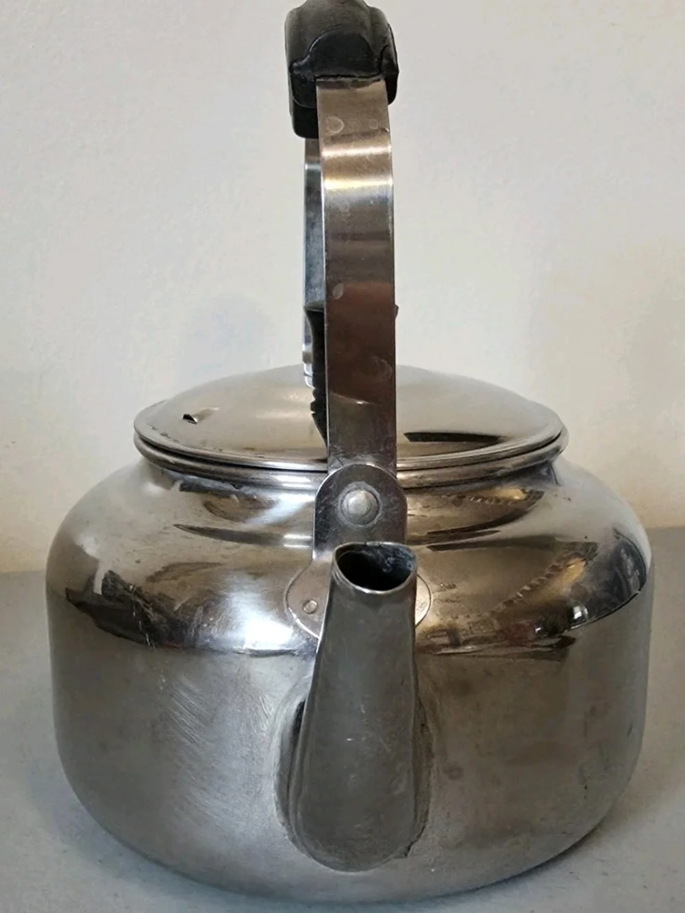 Stainless Steel Silver Teapot with Black Handle